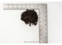 Euchi Mulch
